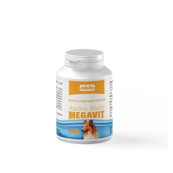 AMINO BIOTIN MEGAVIT 50 TBL.