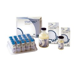 STARTVAC 1 D EMULSJA DO WSTRZYK.