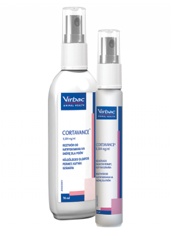 CORTAVANCE 0,584 MG/ML 31 ML , ROZTWÓR