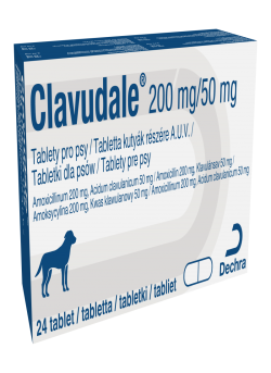 CLAVUDALE (200+50) MG 24 TAB. DLA PSA