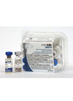 EURICAN DAPPi   1 D.