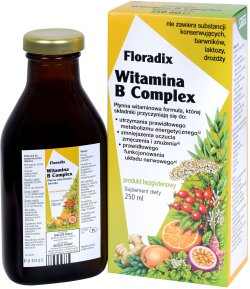 Floradix Witamina B Complex 250 ml