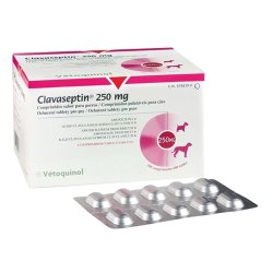 CLAVASEPTIN 250 MG   10 TABL. DLA PSA