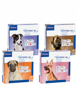 EFFIPRO DUO 134MG/40MG M 4 PIPETY