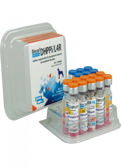 BIOCAN NOVEL DHPPI/L4R LIOF+ROZP.1 DS