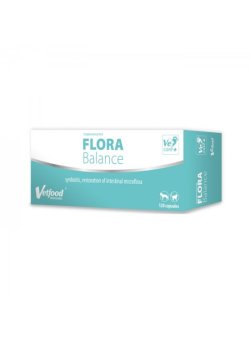 VF FLORA BALANCE 120 KAPS.