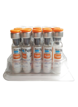 BIOCAN NOVEL PUPPY 1D LIOF. + ROZPUSZCZ.