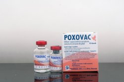 POXOVAC 50 DS