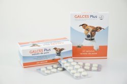GALCES PLUS 10 TABLETEK DLA PSÓW
