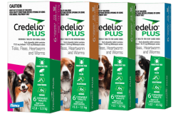 CREDELIO PLUS PIES (>5,5-11 KG) 3 TABL.