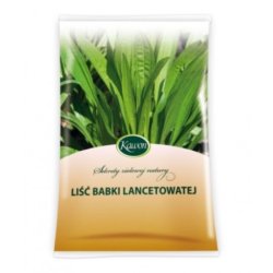 Zioł.Liść Babki lancet. 50g śr.spożKAWON