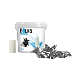 BOLUS ELEKTROLITOWY 50 G- 10 SZT