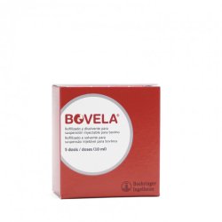 BOVELA BVD INJ 10 ML 5 DAWEK