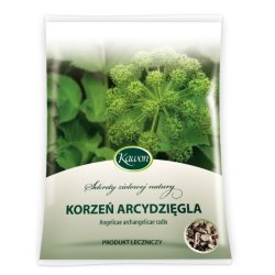 Zioł.Korzeń Arcydzięgla /KAWON/--50g