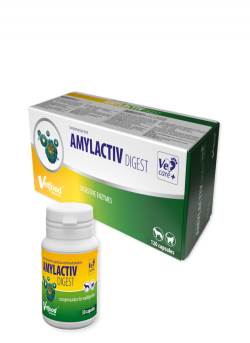 VF AMYLACTIV DIGEST 120 KAPS