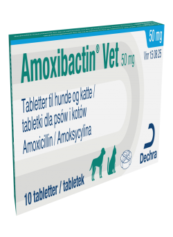 AMOXIBACTIN VET 50 MG  10 TABL.