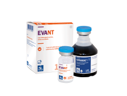 EVANT 5 000 D LIOF. + ROZP. 35 ML+250 ML