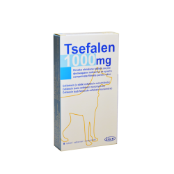 TSEFALEN 1000 MG 8 TBL* POWLEKANYCH