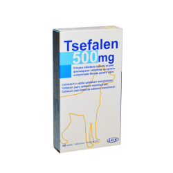 TSEFALEN 500 MG 12 TBL* POWLEKANYCH