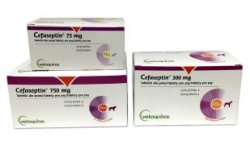 CEFASEPTIN 300 MG 100 TABLETEK DLA PSÓW