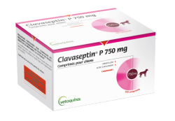 CLAVASEPTIN 750 MG  100 TABL. DLA PSA