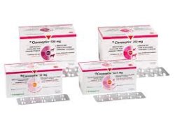 CLAVASEPTIN 250 MG  100 TABL. DLA PSA