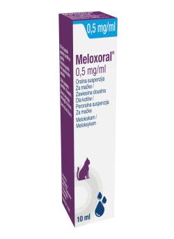 MELOXORAL KOT 0,5 % 10 ML
