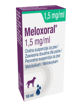 MELOXORAL PIES 1,5 % 10 ML