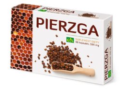 Pierzga 596mg 48kaps.GAL