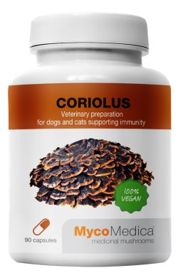MycoMedica Coriolus 90kaps.500mg