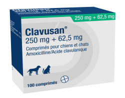 CLAVUSAN 250 MG + 62,5 MG 100 TABL