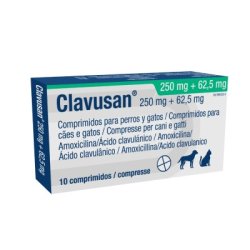CLAVUSAN 250 MG + 62,5 MG 10 TABL
