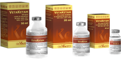 VETAKETAM 20 ML 100 MG/ML, INJ