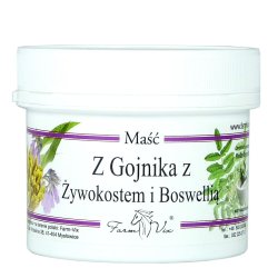 FARM-VIX Maść z Gojnika Żyw.Bosw.100ml.