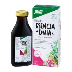 Floradix ESENCJA DNIA 250 ml