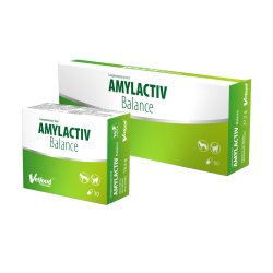 VF AMYLACTIV BALANCE 60 KAPS