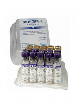 BIOCAN DHPPI + L,  LIOFILIZAT I ROZPUSZ.