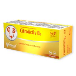 VF CITROACTIV B6 120 KAPS.