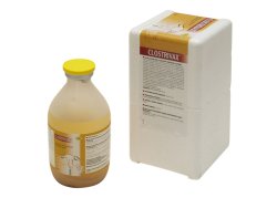 CLOSTRIVAX 250 ML ZAWIES. DO WSTRZYKIWAŃ