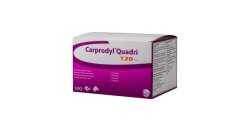 CARPRODYL QUADRI 120 MG 24 TAB.